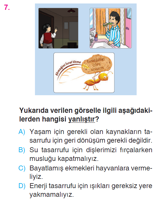 İnsan ve Çevre - 2 Testi