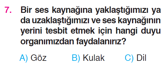 Çevremizdeki Işık ve Sesler - 3 Testi