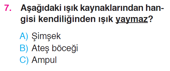 Çevremizdeki Işık ve Sesler - 1 Testi