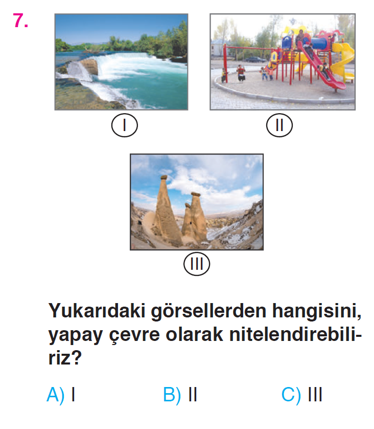 Canlılar Dünyasına Yolculuk - 1 Testi