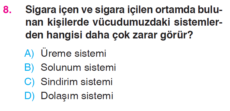 Besinlerimiz - 3 Testi