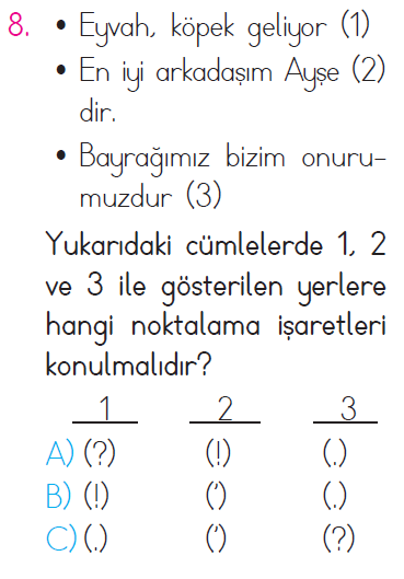 Anlama - Yazım Kuralları - Özel İsimler - Kelime - Cümle Testi