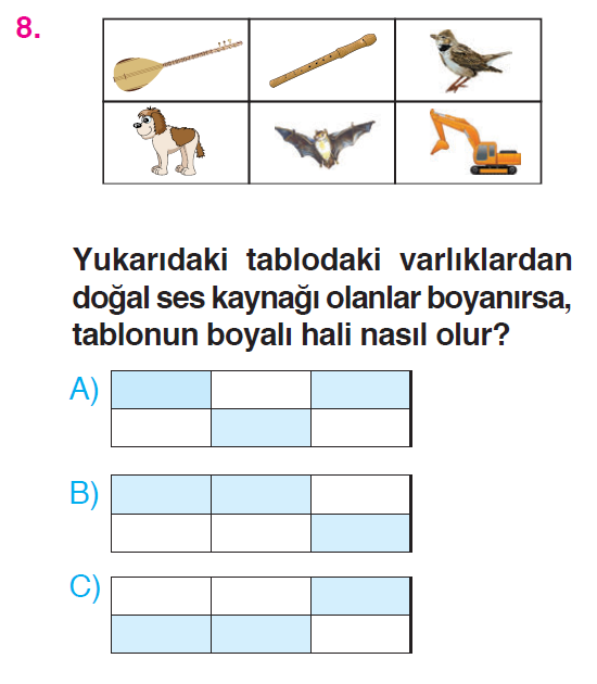 Çevremizdeki Işık ve Sesler - 3 Testi