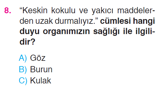 Beş Duyumuz - 2 Testi