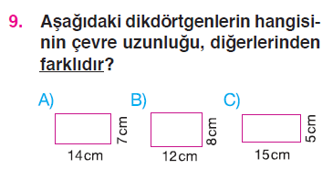 Çevre Testi