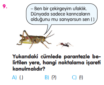 Paragraf - Noktalama İşaretleri - Yazım Kuralları - Sözcükte Anlam Testi