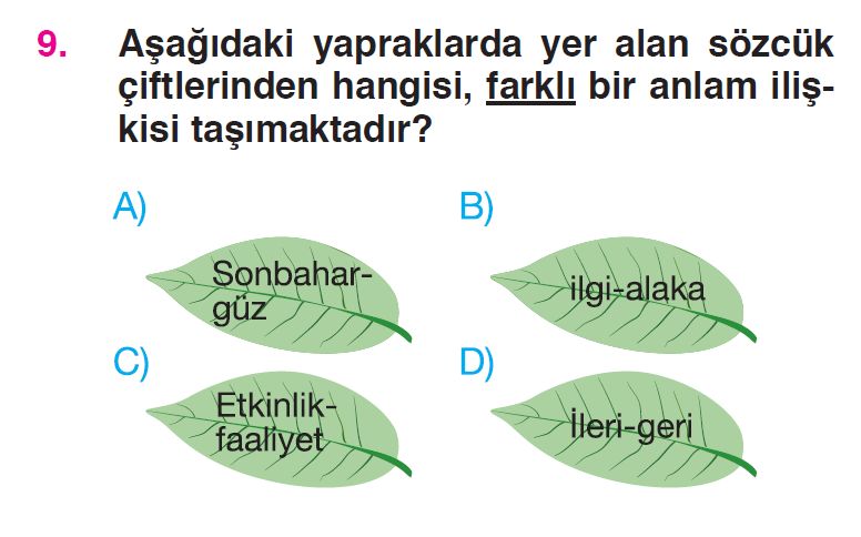 Sözcükte Anlam (Zıt Anlam – Eş Anlam) - 2 Testi