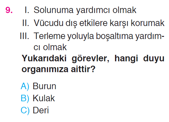 Beş Duyumuz - 2 Testi
