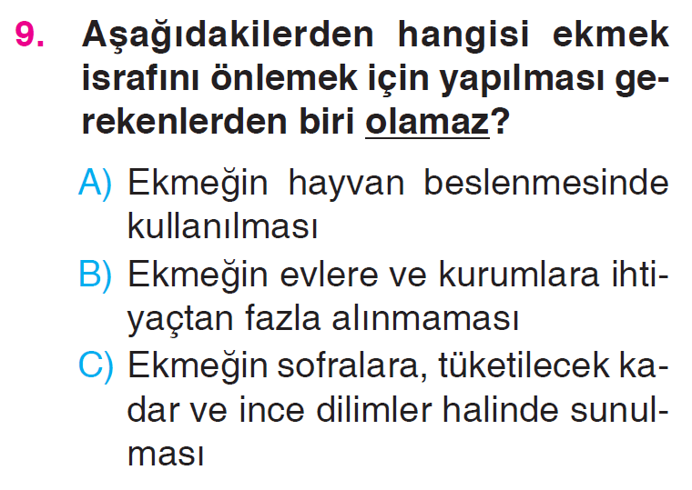 Evimizde Hayat - 2 Testi