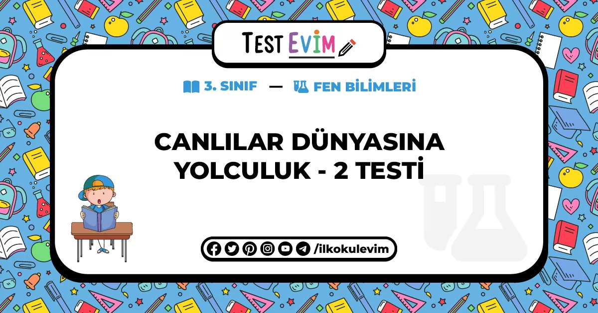İçerik Görseli